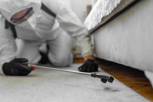 Professional Bed Bug Control technician working in Pearsall, TX